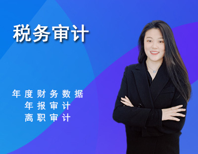 税务审计