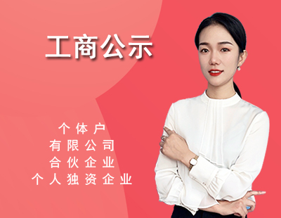 工商公示