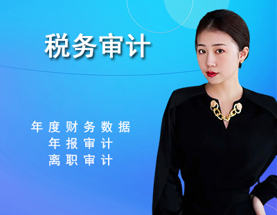 税务审计