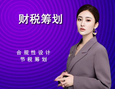 财税筹划