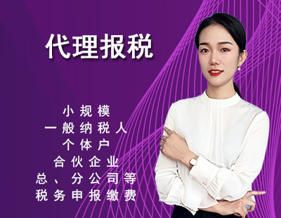 代理报税