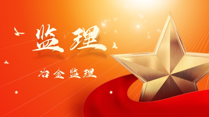 冶金监理