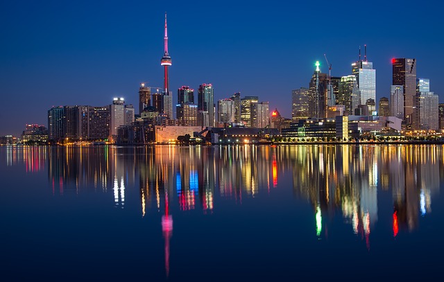 城市 夜景 海滨