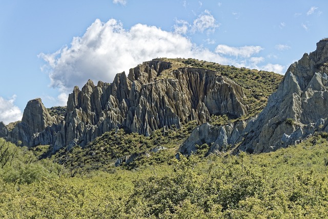 new-zealand-g9257451be_640.jpg