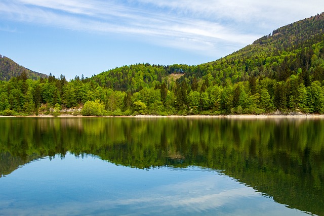 landscape-g5767295b3_640.jpg