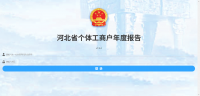 工商年报