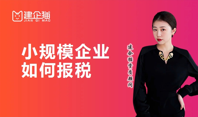 代理报税