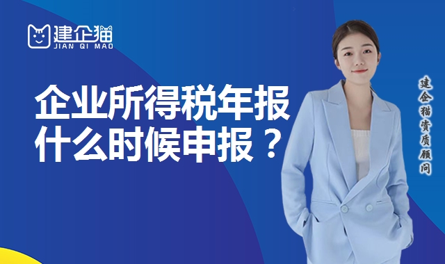 代理报税