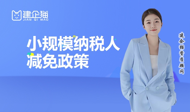 代理报税