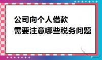 代理报税