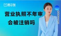 工商年报