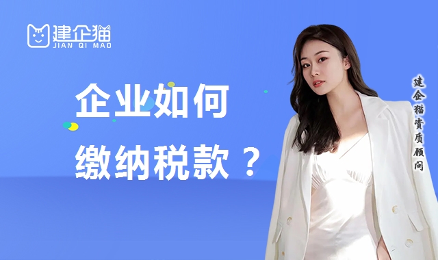 代理报税