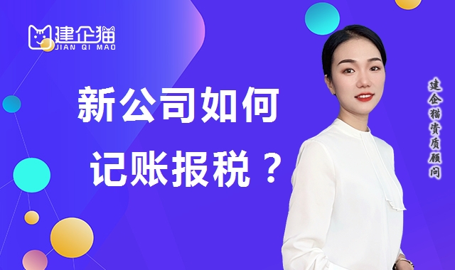 代理报税