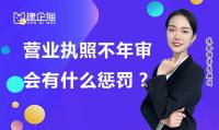 工商年报