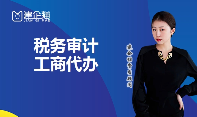 税务审计