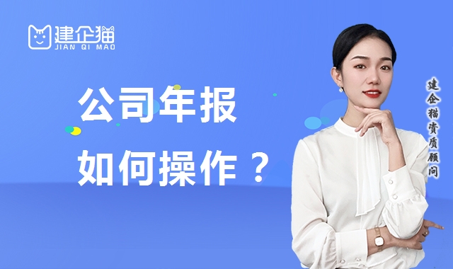 工商年报