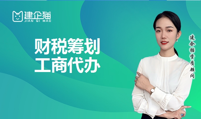 财税筹划 财税筹划