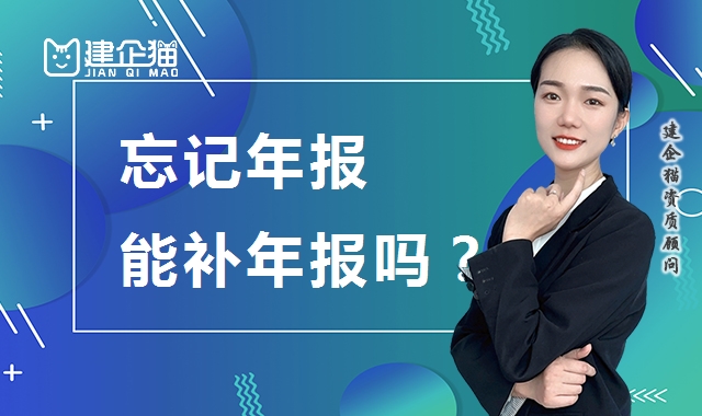 工商年报