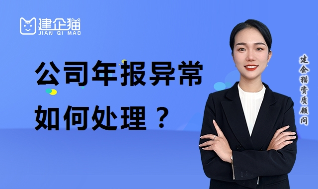 公司解异常