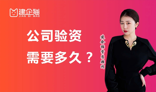 验资报告