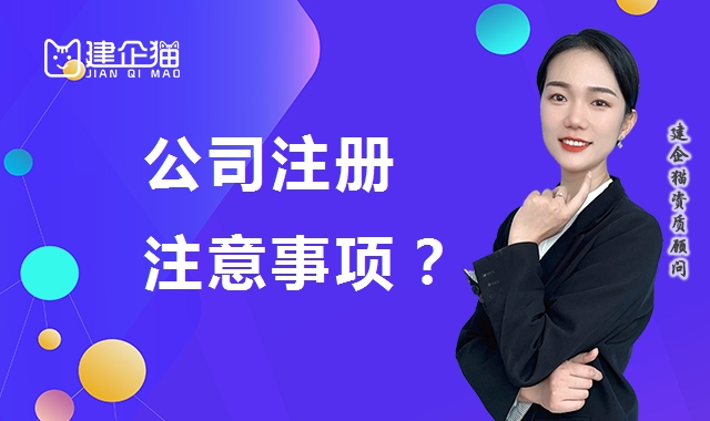 公司注册