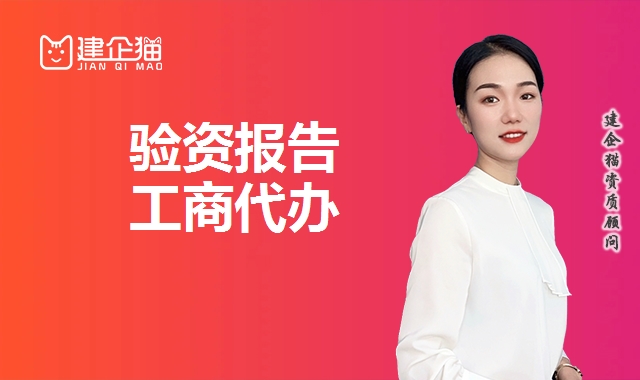 验资报告