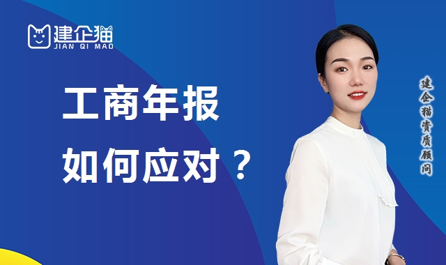 工商年报 工商年报
