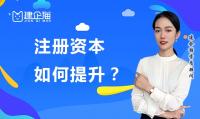 公司注册资金