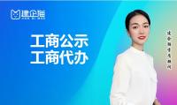 工商公示