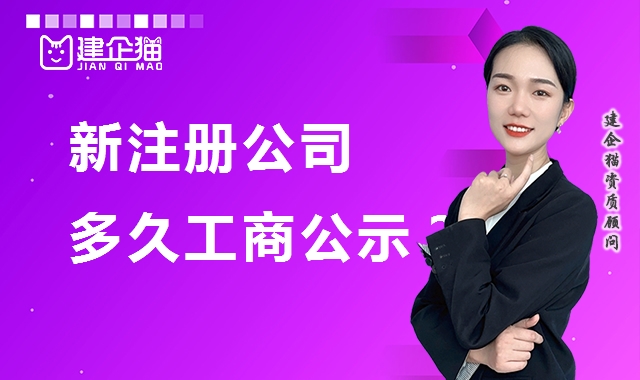 工商公示