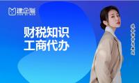 代理报税