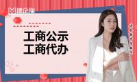 工商公示