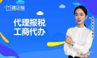 代理报税