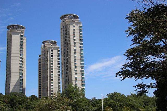 城市