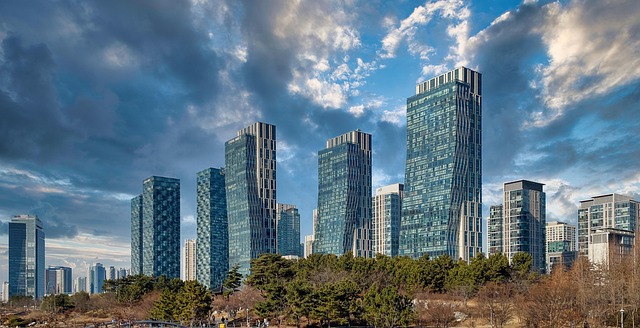 城市