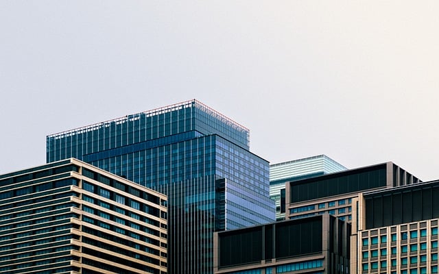城市