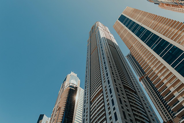 城市
