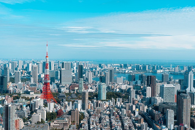 城市
